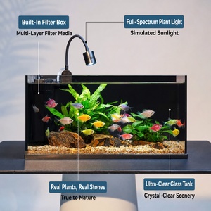 Großhandel All-in-One Desktop-Aquarium-Set, Direkt vom Hersteller Integrierter Filter & Vollspektrum-Pflanzenlicht Nano-Glastank - Product Image 2
