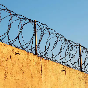 Alambre de púas en espiral tipo concertina de hierro duradero marca SQ, galvanizado en caliente, con clips, para seguridad, alambre de púas en forma de línea - Product Image 6