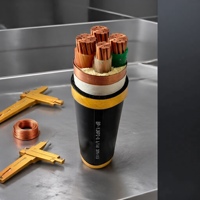 Cable de Alimentación Armado con Cinta de Acero, Aislado con XLPE, Núcleo de Cobre YJVP2, Revestimiento de PVC