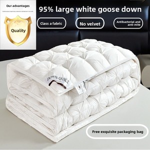 Couette en <span class=keywords><strong>duvet</strong></span> ChamXue, <span class=keywords><strong>duvet</strong></span> <span class=keywords><strong>de</strong></span> canard blanc, insert <span class=keywords><strong>de</strong></span> couette, couette en <span class=keywords><strong>duvet</strong></span>, épaissie, tissage en coton pur, fleurs tirées, douce et épaisse - Product Image 5