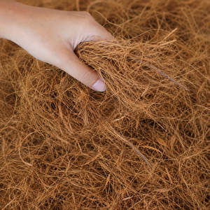Premium Coconut Bristle Material Designed for Household Cleaning Products and Commercial Manufacturing Needs - Product Image 5