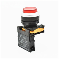 SKB0-PL10T/SKB0-PL10TD 22mm 12V 24V 110V 127V 220V 380V Bouton poussoir à maintien convexe à haute capacité, éclairé en option