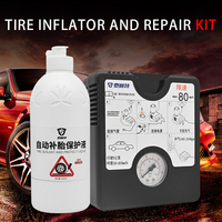 TYRESEALANT OEM sin cámara antipinchazos sellador de neumáticos automotriz líquido Inflador de neumáticos eléctrico Kit de reparación al por mayor herramienta de coche
