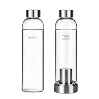 Bouteille d'eau portable en verre borosilicate WEVI 350 ml 500 ml, bouteille à thé 16 oz avec bouchon en acier inoxydable pour usage extérieur