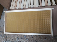 Style personnalisé bois de pin pleine profondeur cadre d'abeille en bois ruche pour cadre de ruche