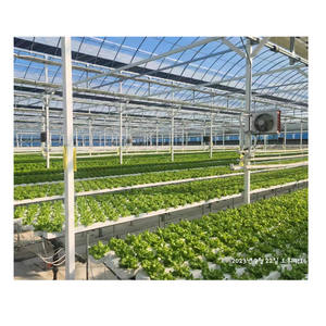 Système hydroponique en gros : Table de culture à flux et reflux avec gouttière NFT 100x50mm, canal NFT, bac NFT et tuyau pour laitue - Product Image 1