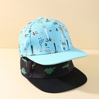Cappello da Baseball per Bambini Wins Flying, 1 Pezzo, Etichetta Privata, Stampa Cartoon, Moda High-Street Estiva per Bambini e Bambine