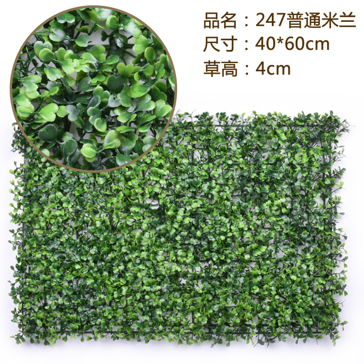 มิลานธรรมดา