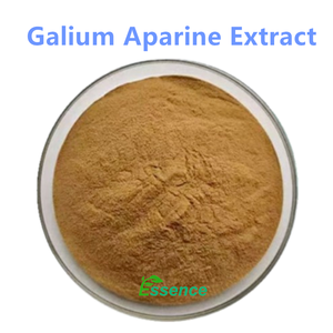 Extracto de Gaillet Gratteron 10:1 20:1, Ingrediente Natural, Extracto Puro de Planta de <span class=keywords><strong>Galium</strong></span> Aparine en Polvo al Mejor Precio - Product Image 2