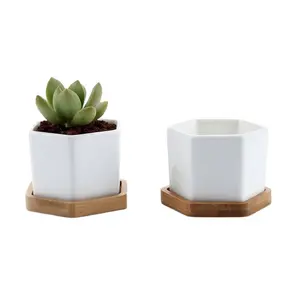 Kreativer Mini-Sechskant-Keramik-Blumentopf mit Bambus-Untertasse