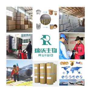 Fabricante Atacado <span class=keywords><strong>Astragalus</strong></span> Extrato Em Pó Pure Herbal <span class=keywords><strong>Astragalus</strong></span> Extrato - Product Image 6