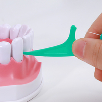 Fil dentaire orthodontique à succès pour implants dentaires – Outils de nettoyage quotidien orthodontique – Bâtonnets de fil dentaire