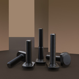 Baifite T-Bolt M12-M24 Acier au carbone Oxyde noir Qualité industrielle Fixation - Product Image 2