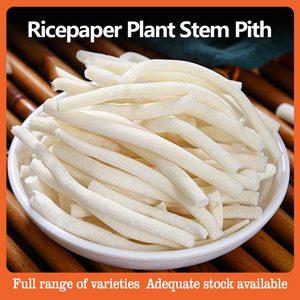 Tetrapanax Papyri <span class=keywords><strong>Fer</strong></span> Hook. Papel de Arroz <span class=keywords><strong>K</strong></span>. Koch, Pulpa de Tetrapanax, Pulpa de Papel de Arroz, Tong Cao - Product Image 1