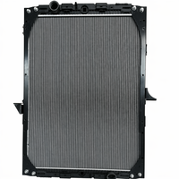Nuevo Núcleo de Radiador con Garantía de 1 Año, Modelo XD803 OEM 61417A 1326966