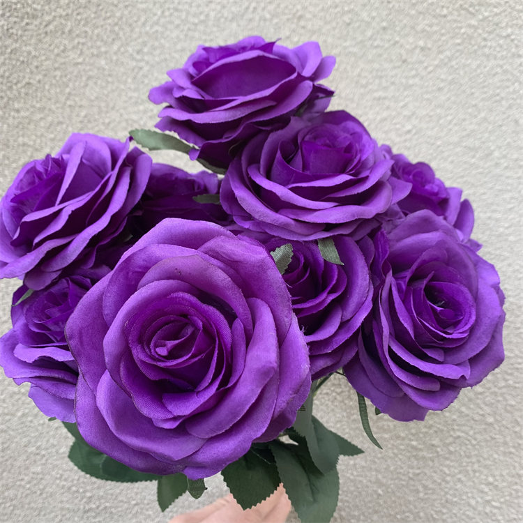 Pourpre