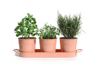 Vente en gros lot coloré de 3 pots d'herbes aromatiques pots de fleurs en métal pots décoratifs pour plantes succulentes de jardin seau à fleurs avec plateau