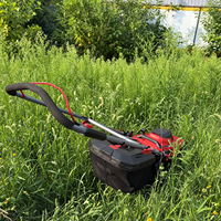 Tondeuse à gazon professionnelle DONOL D-LMP 40V à batterie, 430 mm, équipement de coupe d'herbe sans fil