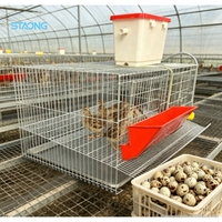 Cage d'élevage de cailles à économie d'espace, conception de type H pour l'équipement d'élevage de poules pondeuses à haute densité