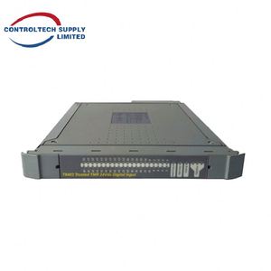 Ensemble de terminaison d'output numérique ICS TRIPLEX T8403CX - 8 canaux doubles, 24V Haute fiabilité pour le contrôle industriel - Product Image 3