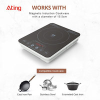 Mini cuisinière électrique à induction de taille 1000W, 2 modes de cuisson préréglés, vente en gros sur le marché japonais,