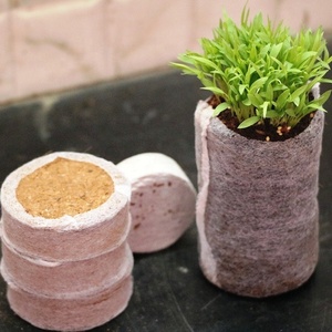 2018 vente chaude granulés de coco coco tourbe de coco dans les formes de graines de disque de bloc pour la culture de fleurs utilisation de graines de rempotage - Product Image 4