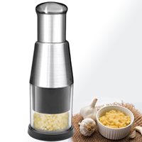 Presse-ail manuel en acier inoxydable, hachoir à oignon et légumes, gadget de cuisine