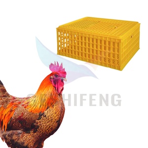Hot bán giao thông vận tải lồng gà vịt ngỗng để bán Crate trang trại gia cầm Thùng nhựa Giao thông vận tải giỏ Trung Quốc - Product Image 4