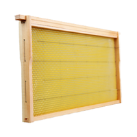 Langstroth 10er-Set unmontierte tiefe F-Typ Holz-Bienenstockrahmen mit Bienenwachs-Wabenfundament