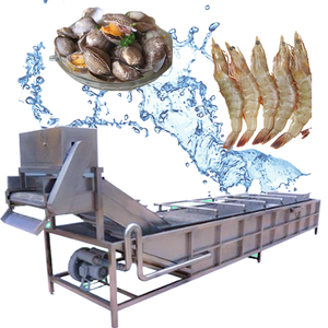 Machine de lavage et de tri automatique commerciale pour légumes et fruits avec stérilisation à l'ozone, composants en acier inoxydable pour roulements et moteurs - Product Image 1