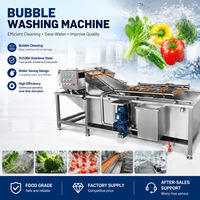Commerciële luchtbelwasmachine voor de verwerking van sla, tomaten, aardappelen, wortelen, fruit en groenten.
