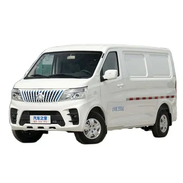 Large capacity Cakcauto Ruixing EM60ll 2023 hatchback 2seats Basic Version mini electric van for sale