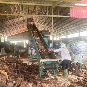 Meksika kesme fiber taşlama hindistan cevizi <span class=keywords><strong>coir</strong></span> fiber saksılar makine defibering süreci hattı - Product Image 4