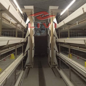 Jaulas para Pollos <span class=keywords><strong>de</strong></span> Engorde <span class=keywords><strong>de</strong></span> Primera Calidad <span class=keywords><strong>en</strong></span> China, Jaulas <span class=keywords><strong>en</strong></span> Batería para la <span class=keywords><strong>Venta</strong></span> con Diseño <span class=keywords><strong>de</strong></span> Gallinero Galvanizado para Granjas Avícolas - Product Image 5