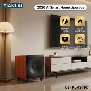 Tianlai D10 Woofers et systèmes de cinéma maison, caisson de basses actif de 10 pouces, amplificateur, haut-parleurs, système audio, son - Product Image 5