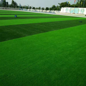 Meisen-<span class=keywords><strong>Césped</strong></span> <span class=keywords><strong>artificial</strong></span> deportivo para parque al aire libre en la azotea, escuela, gimnasio, fútbol, parque infantil, alfombra verde para todas las estaciones - Product Image 4