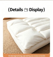 Nouvel oreiller en duvet d'oie Cloud Zero Gravity