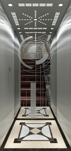 Ascenseur luxueux de passager à la maison avec l'ascenseur de traction de villa d'ascenseur de <span class=keywords><strong>fauteuil</strong></span> <span class=keywords><strong>roulant</strong></span> - Product Image 3