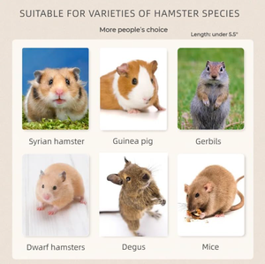 Cage à <span class=keywords><strong>hamster</strong></span> écologique, grande, avec accessoires pour hamsters/lapins/cobayes, cage à cobayes pas chère - Product Image 2