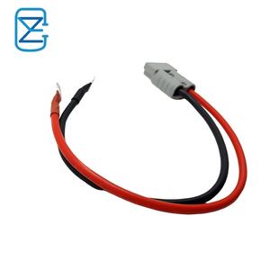 <span class=keywords><strong>สาย</strong></span>เชื่อม<span class=keywords><strong>ต</strong></span>่อแบ<span class=keywords><strong>ต</strong></span>เตอรี่<span class=keywords><strong>แบ</strong></span>บปลั๊กทองแดง 50A ไปยังขั้วต่อ M8 พร้อมสาย<span class=keywords><strong>ต</strong></span>่อขยาย 30/50/100 ซม. <span class=keywords><strong>แบ</strong></span>บไม่ระบุเพศ - Product Image 2