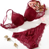 Dropshipping tiktok reggiseno di pizzo da donna di vendita caldo Set di slip in pizzo trasparente reggiseno Push Up Set di mutandine Set di biancheria intima da donna
