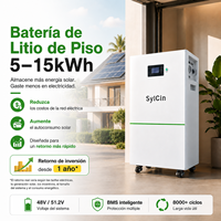 Batterie au lithium LiFePO4 au sol 48V 51.2V 5kWh à 30kWh pour stockage solaire et alimentation de secours domestique