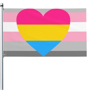 Drapeau personnalisé de 3x5 pieds Dm Girl <span class=keywords><strong>Pan</strong></span> Pride House Garden Yard pour la décoration - Product Image 1