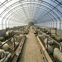 Bâtiment préfabriqué en acier à faible coût pour élevage de volailles, moutons et porcs, grande portée, haute résistance