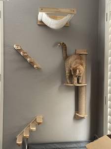 बिल्ली के पेड़ और खरोंच के लिए पेडल के साथ W-08 सिसल और लकड़ी के पर्यावरण के अनुकूल बड़ी बिल्ली खरोंच पोस्ट - Product Image 2
