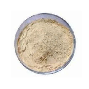 Poudre d'enzyme papaïne 1000 TU, ultra haute activité, enzyme digestive d'origine végétale pour la hydrolyse intensive des protéines, transformation alimentaire - Product Image 1