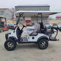 Voiturette de golf électrique tout-terrain 150A 48V, véhicule utilitaire 3-4 places avec contrôleur intelligent fourni par une usine chinoise