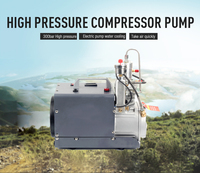 Pompa Kompresor Udara PCP Listrik Tekanan Tinggi 4500 PSI 300bar, Dukungan OEM untuk Aplikasi Udara yang Dapat Disesuaikan