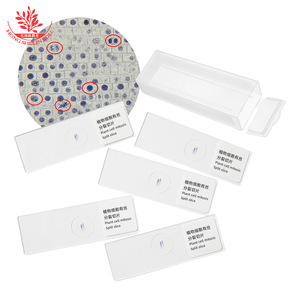 Portaobjetos de mitosis celular de sección longitudinal de punta de raíz de cebolla para observación sincrónica de células en biología de secundaria - Product Image 1