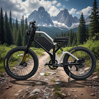 Fabricant OEM fiable, vélo électrique puissant longue portée 72v 3000w pour adultes, adapté aux terrains montagneux